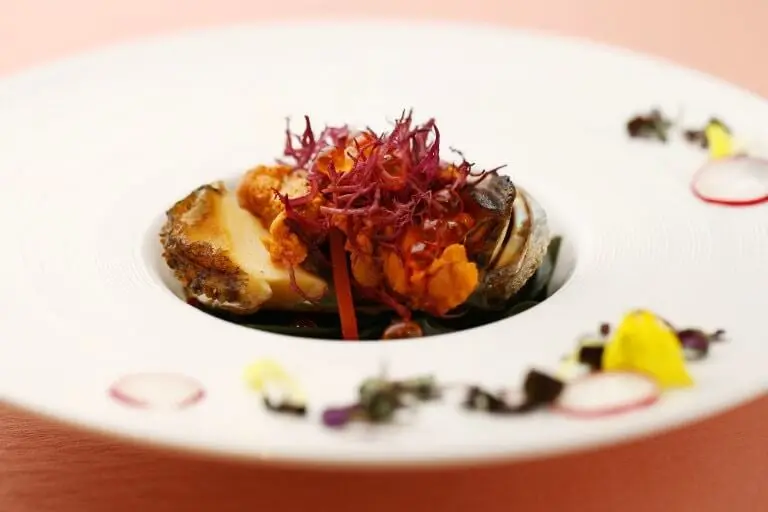 会期コースの画像